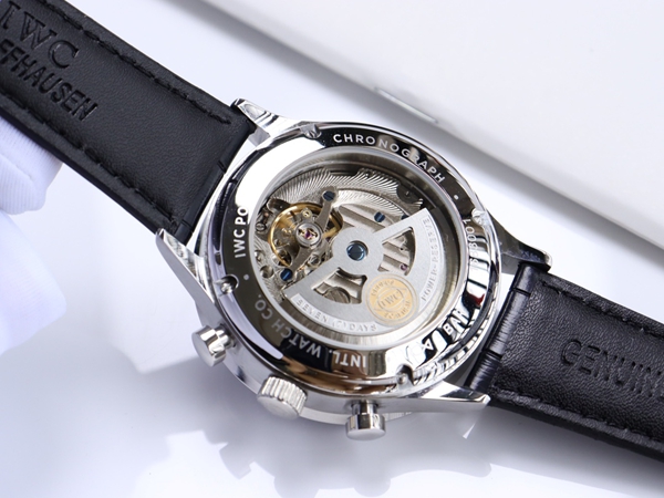 アイ・ダブリュー・シー着用イメージ